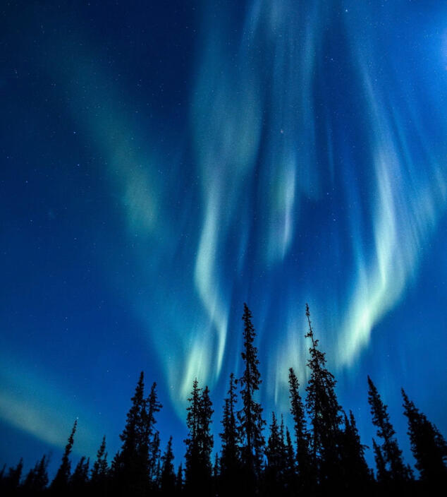 Arctic Immersion - Reimagine & Rewild in Sweden